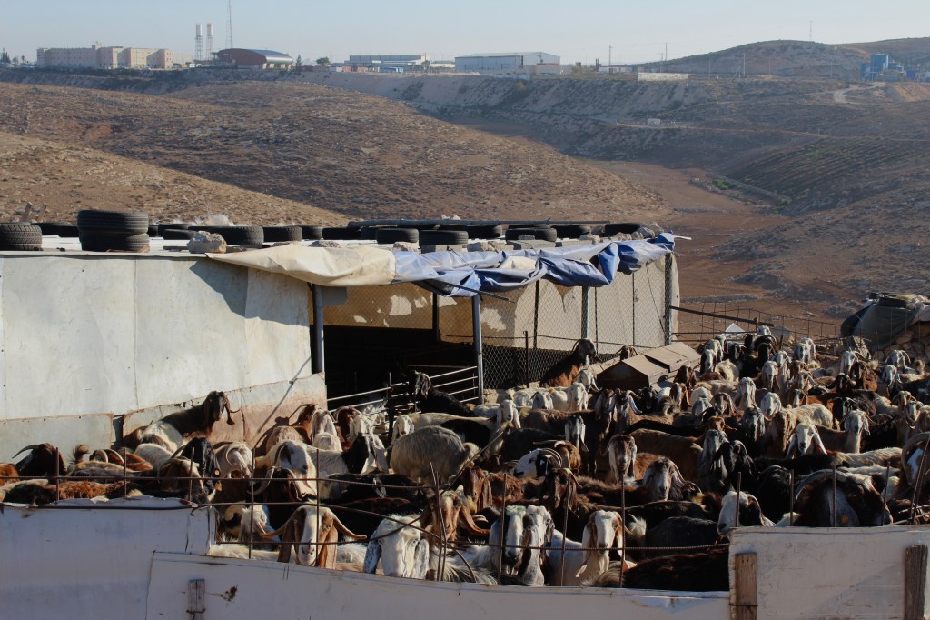 Jacobin Magazine: In the West Bank, Israel’s Apartheid rule results in everyday&nbsp;violence