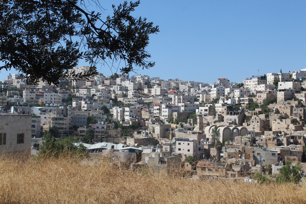 Jacobin Magazine Italia: Morte sotto gli&nbsp;ulivi